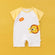 S / 3-6M